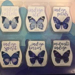 Brand New LIMITED EDITION Scentsy Indigo Set of 6 Wax Warmer Bars Yummy Scents